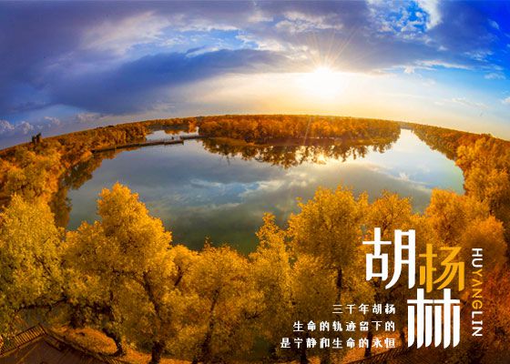 G4【高端摄影】北疆喀纳斯、白哈巴、禾木、可可托海、胡杨林摄影12日游